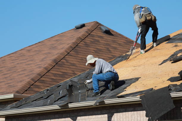 Roof Moss and Algae Removal